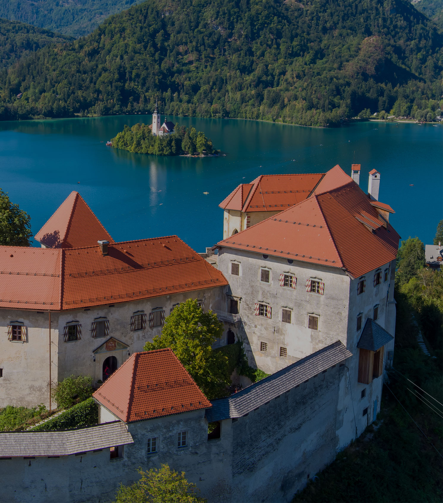 VGŠ-Bled-banner