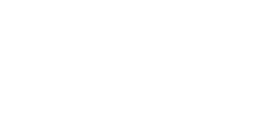 Borma-colors-logo