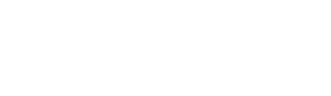 Niplex-logo