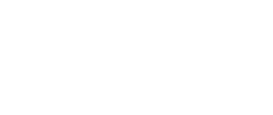Talon-logo