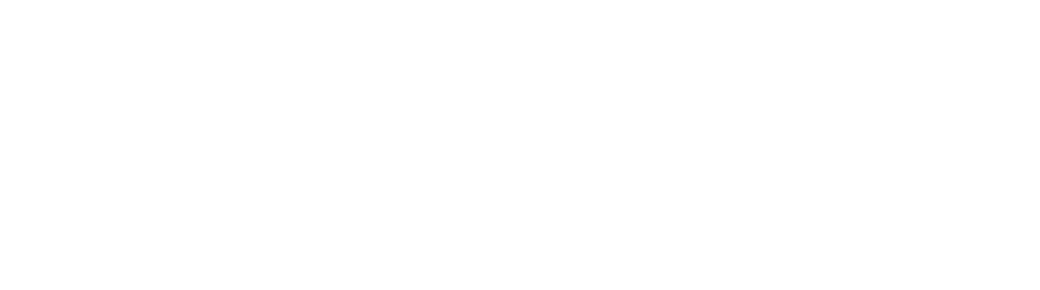 Vebo-logotip